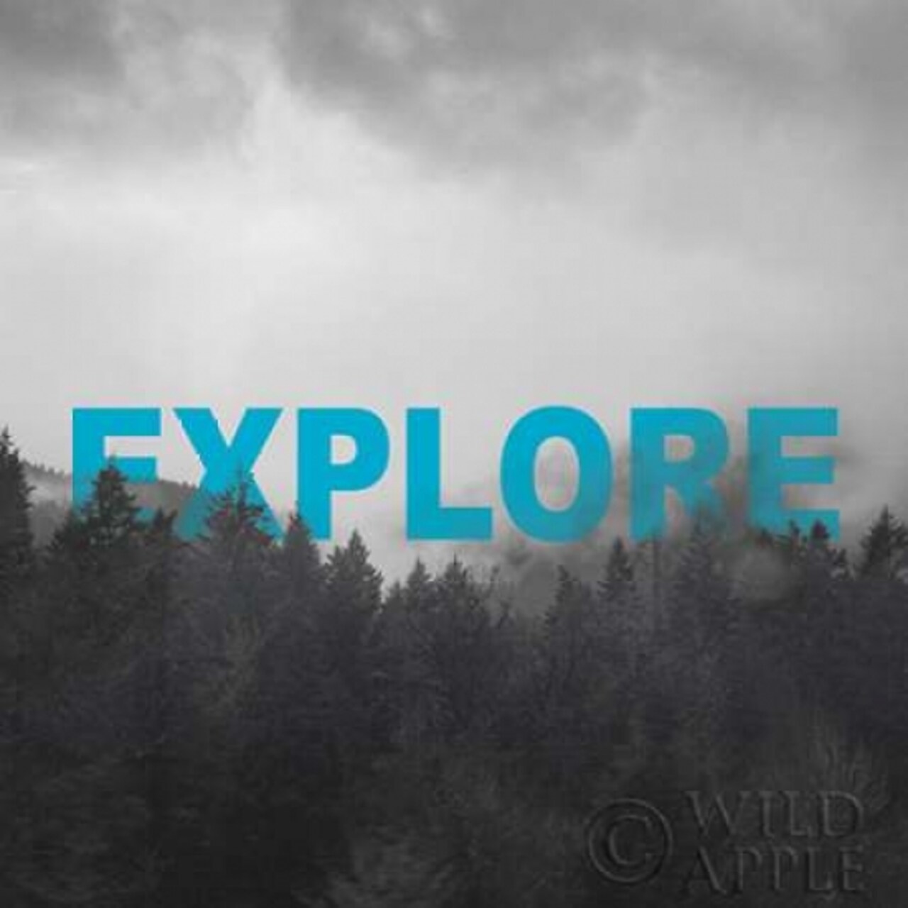 Bold Adventures II Poster Print by Laura Marshall - Item # VARPDX27084